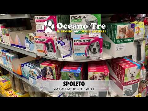 OCEANO 3 Spoleto – Spot articoli per animali domestici